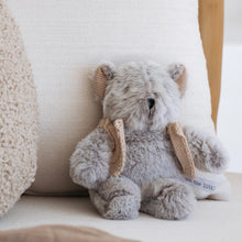 Load image into Gallery viewer, Alfred Bear