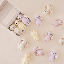 Load image into Gallery viewer, Baby Animal Collection - Baby Bunny Oatmeal