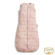 Load image into Gallery viewer, Pink baby sleeping bag with a pattern on a white background