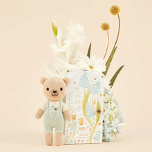 Load image into Gallery viewer, Tiny Collection in a Box - Charlie the Honey Bear