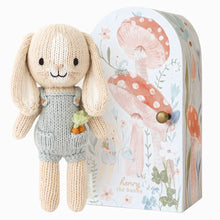 Load image into Gallery viewer, Tiny Collection in a Box - Henry the Bunny