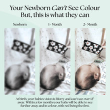 Load image into Gallery viewer, Diagram showing how a newborn's vision improves over time, with text explaining color perception development.
