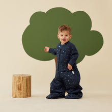 Load image into Gallery viewer, Organic Winter Long Sleeved 2 in 1 Sleeping Suit Bag - Hedgehog 2.5 TOG

