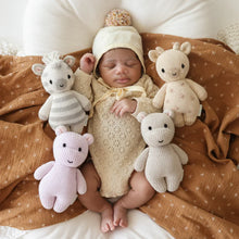 Load image into Gallery viewer, Baby Animal Collection - Baby Zebra
