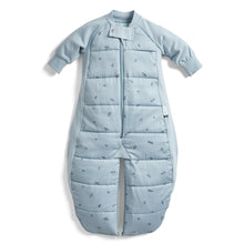 Load image into Gallery viewer, Organic Winter Long Sleeved 2 in 1 Sleeping Suit Bag - Dragonflies 3.5 TOG
