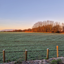 Load image into Gallery viewer, Morley Mummies Mindfulness Walks - March to December 2026
