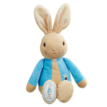 Load image into Gallery viewer, Plush toy rabbit with a blue sweater on a white background
