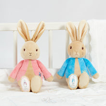Load image into Gallery viewer, Two plush rabbit toys, one in pink and one in blue, sitting on a white surface.
