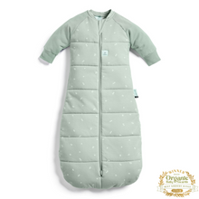 Load image into Gallery viewer, Sleeved green baby sleeping bag with star pattern on a white background
