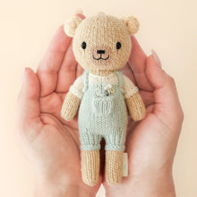 Load image into Gallery viewer, Tiny Collection in a Box - Charlie the Honey Bear
