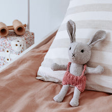 Load image into Gallery viewer, And the little dog laughed Agatha Rabbit Soft Toy
