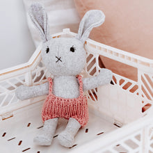 Load image into Gallery viewer, And the little dog laughed Agatha Rabbit Soft Toy
