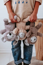 Load image into Gallery viewer, And the little dog laughed Morton Koala Soft Toy
